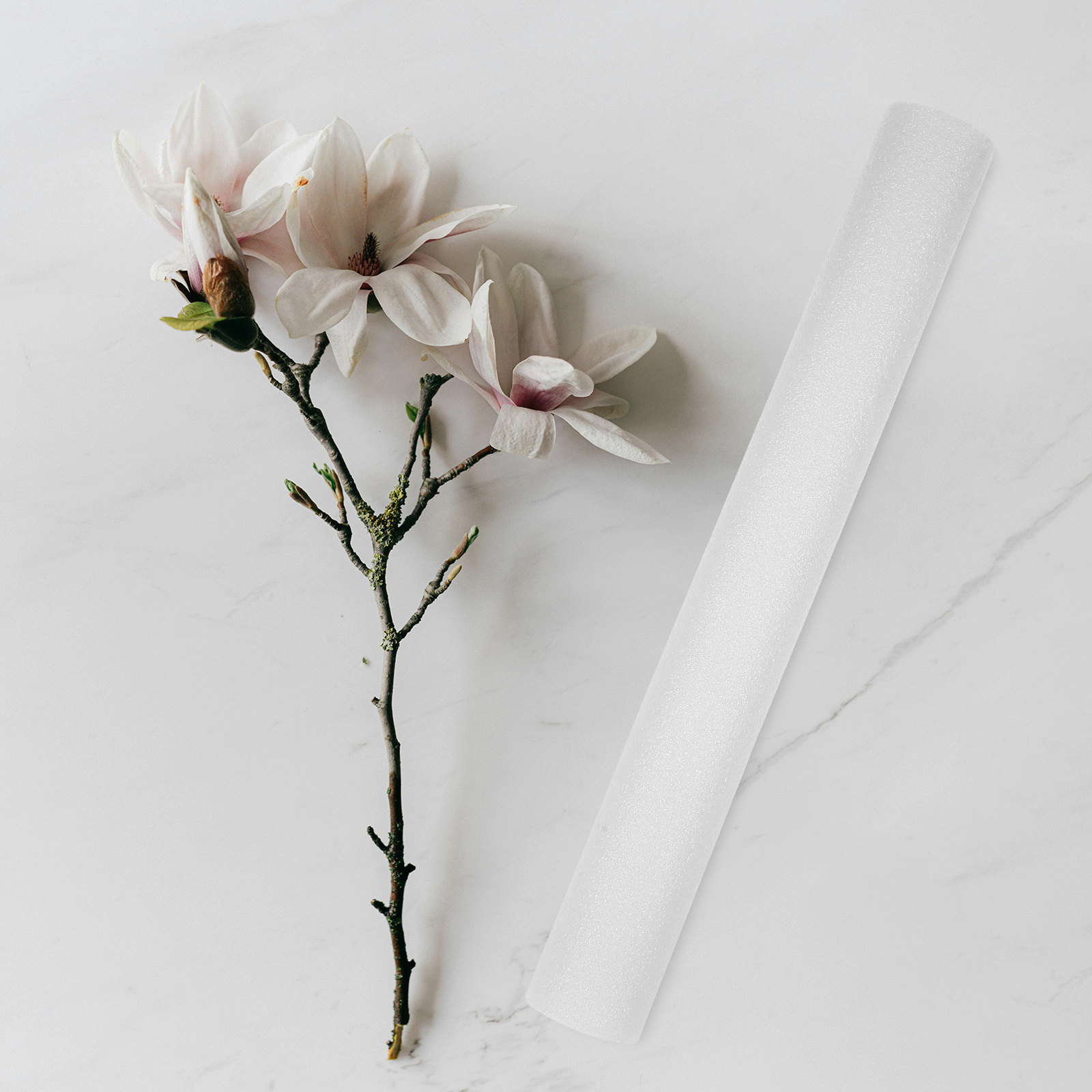 5 Pezzi di Bastoncini di Schiu - Florist Flower Supply recensione e prezzo