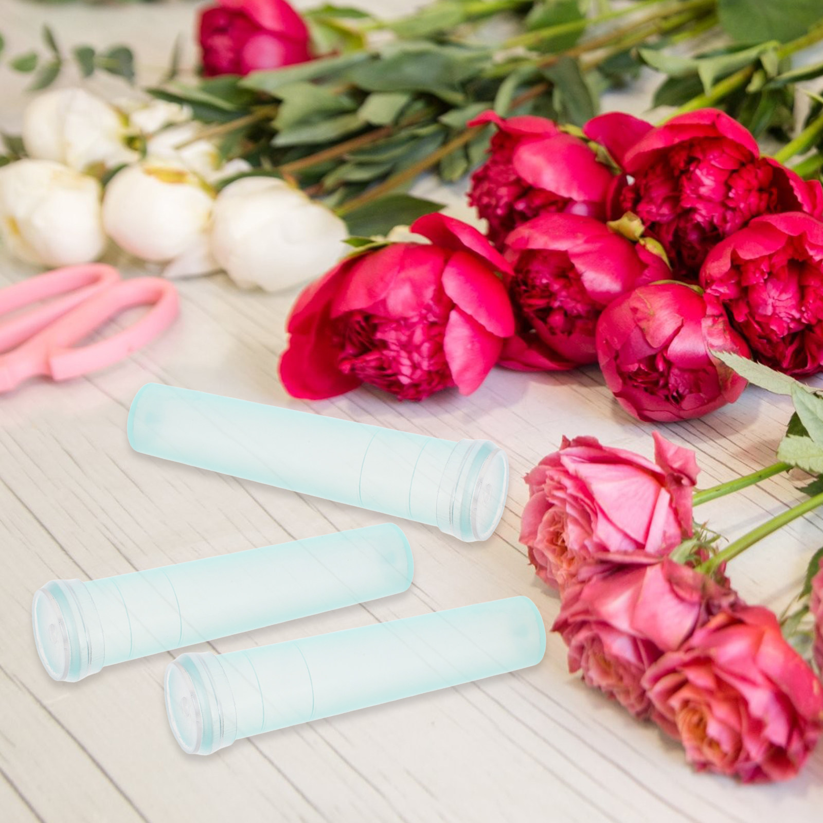 100 Pezzi Tubi per Conservazio - Florist Flower Supply recensione e prezzo